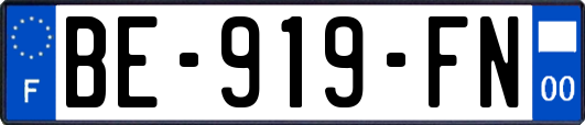 BE-919-FN