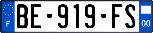 BE-919-FS