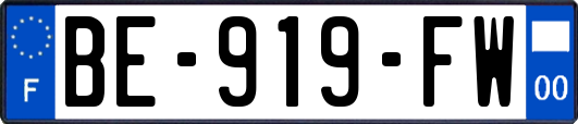 BE-919-FW