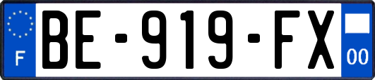 BE-919-FX