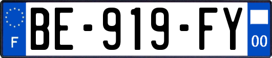 BE-919-FY
