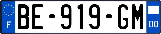 BE-919-GM