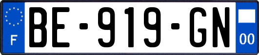 BE-919-GN
