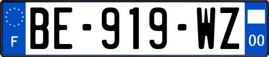 BE-919-WZ
