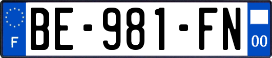 BE-981-FN