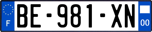BE-981-XN