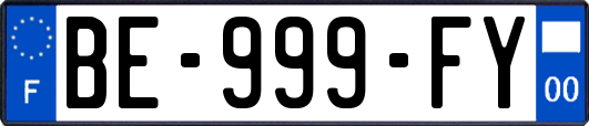 BE-999-FY