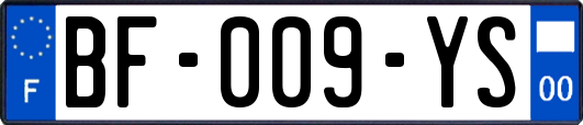 BF-009-YS