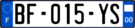 BF-015-YS
