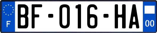 BF-016-HA