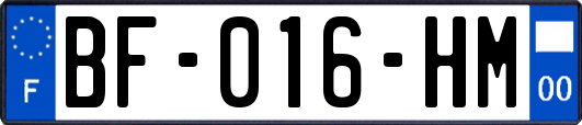 BF-016-HM