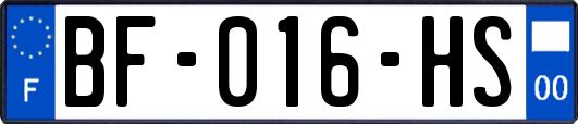 BF-016-HS