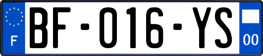 BF-016-YS