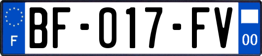 BF-017-FV