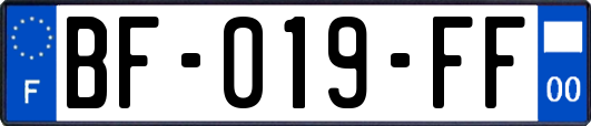 BF-019-FF
