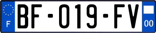 BF-019-FV
