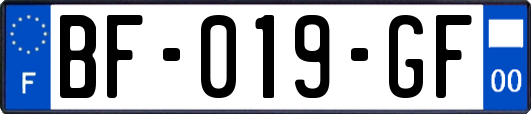 BF-019-GF