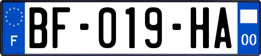 BF-019-HA