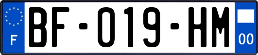 BF-019-HM