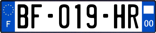 BF-019-HR