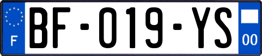 BF-019-YS