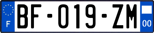 BF-019-ZM