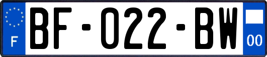 BF-022-BW