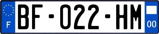 BF-022-HM