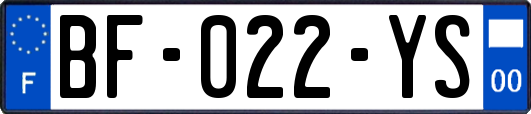 BF-022-YS