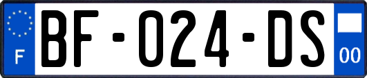 BF-024-DS