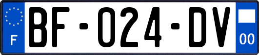 BF-024-DV