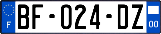 BF-024-DZ