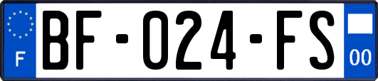 BF-024-FS
