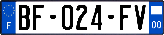 BF-024-FV