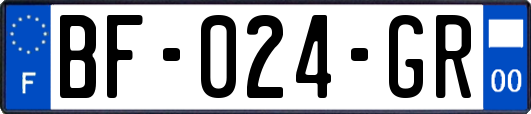 BF-024-GR