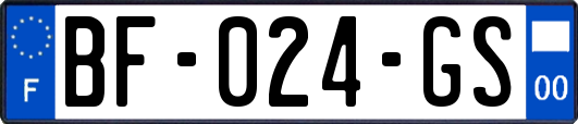 BF-024-GS