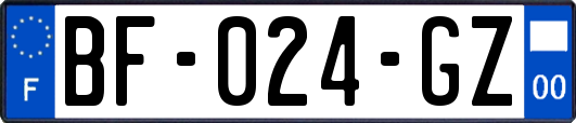 BF-024-GZ