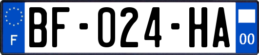 BF-024-HA