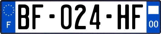 BF-024-HF