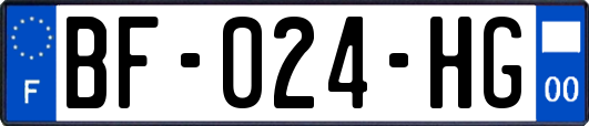 BF-024-HG