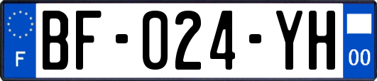 BF-024-YH