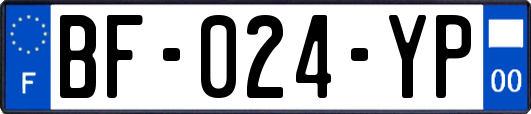 BF-024-YP