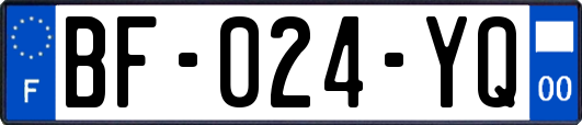 BF-024-YQ