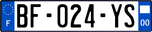 BF-024-YS