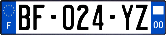 BF-024-YZ