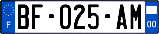 BF-025-AM