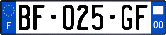 BF-025-GF