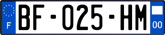 BF-025-HM