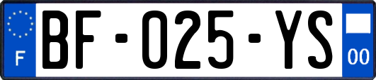 BF-025-YS