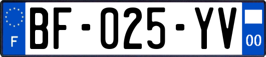 BF-025-YV
